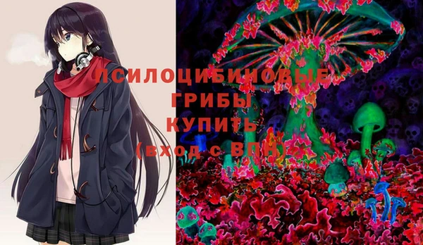 гидропоника Аркадак
