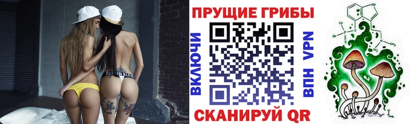 Галлюциногенные грибы прущие грибы  Купить  Нерюнгри 